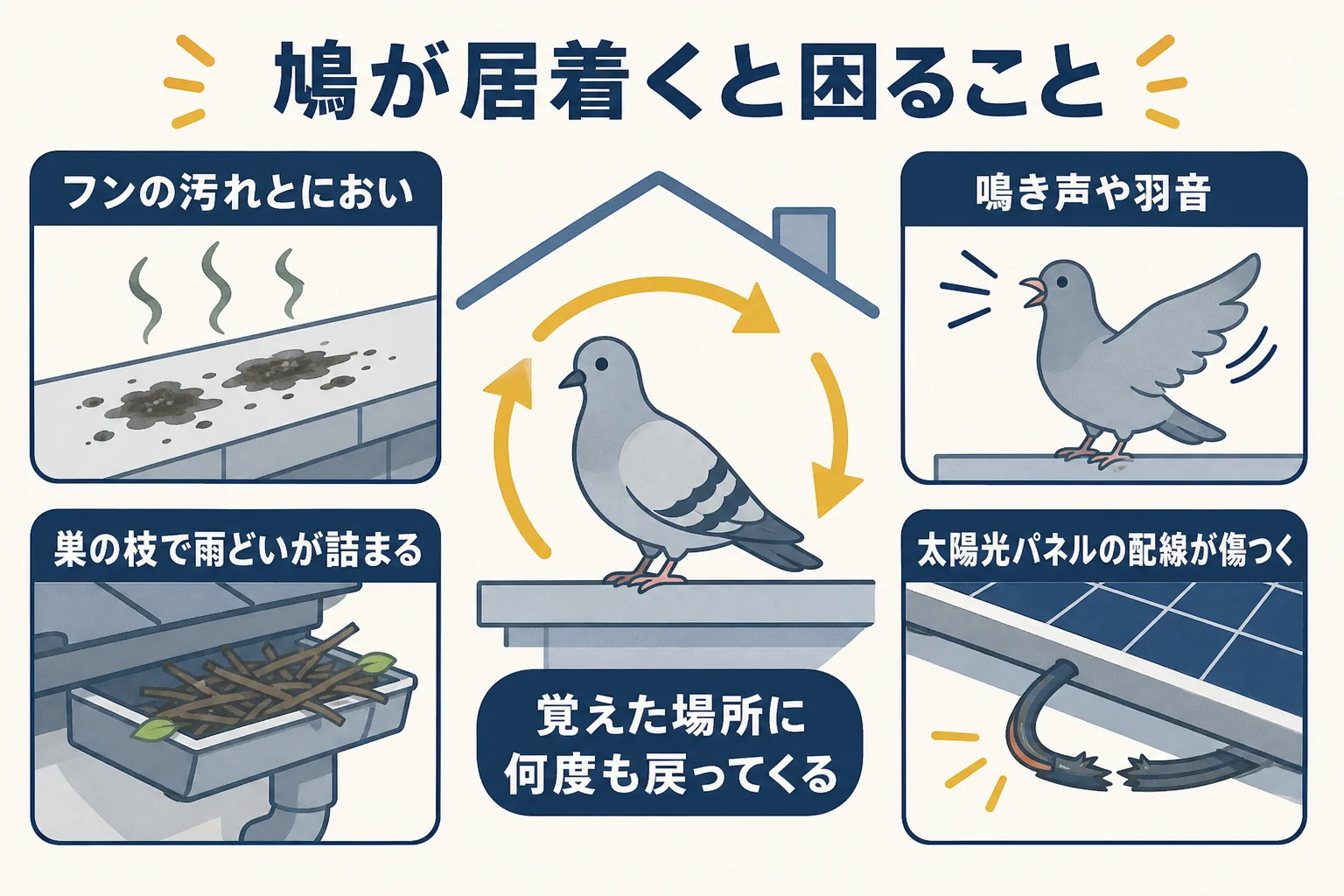 鳩がベランダや屋根に居着いた時に出やすいフン・鳴き声・雨どいの詰まりなどの被害をまとめた図解