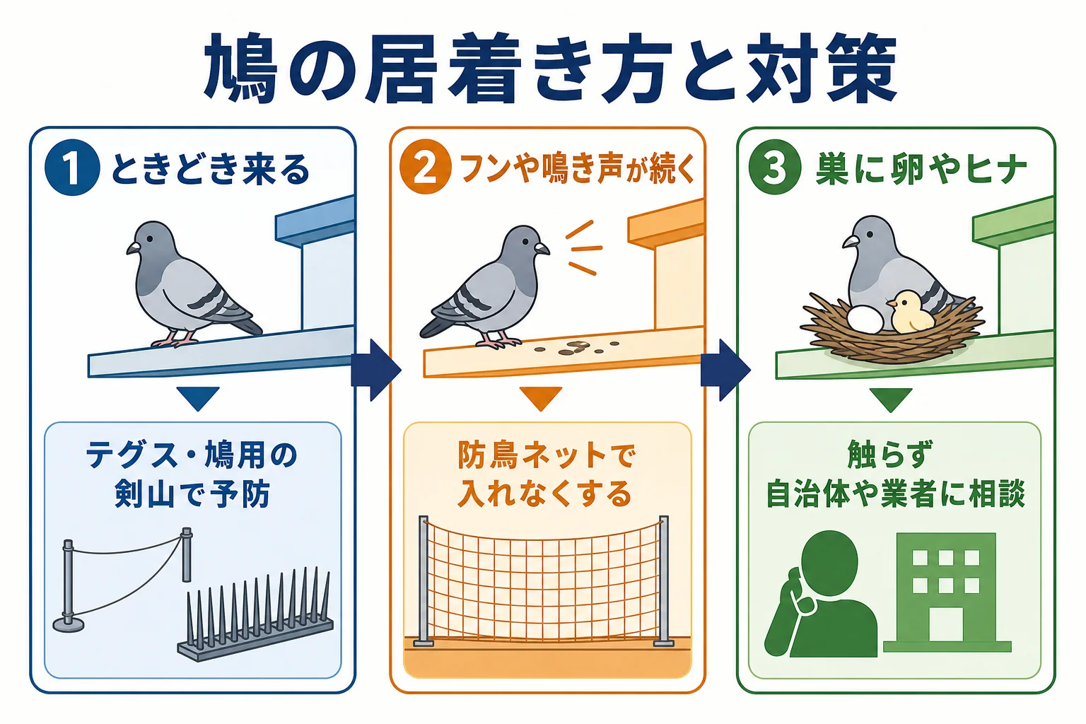 鳩の居着き方を、ときどき来る・フンや鳴き声が続く・巣や卵がある、の3段階で示し、それぞれに合う対策の考え方を示した図解