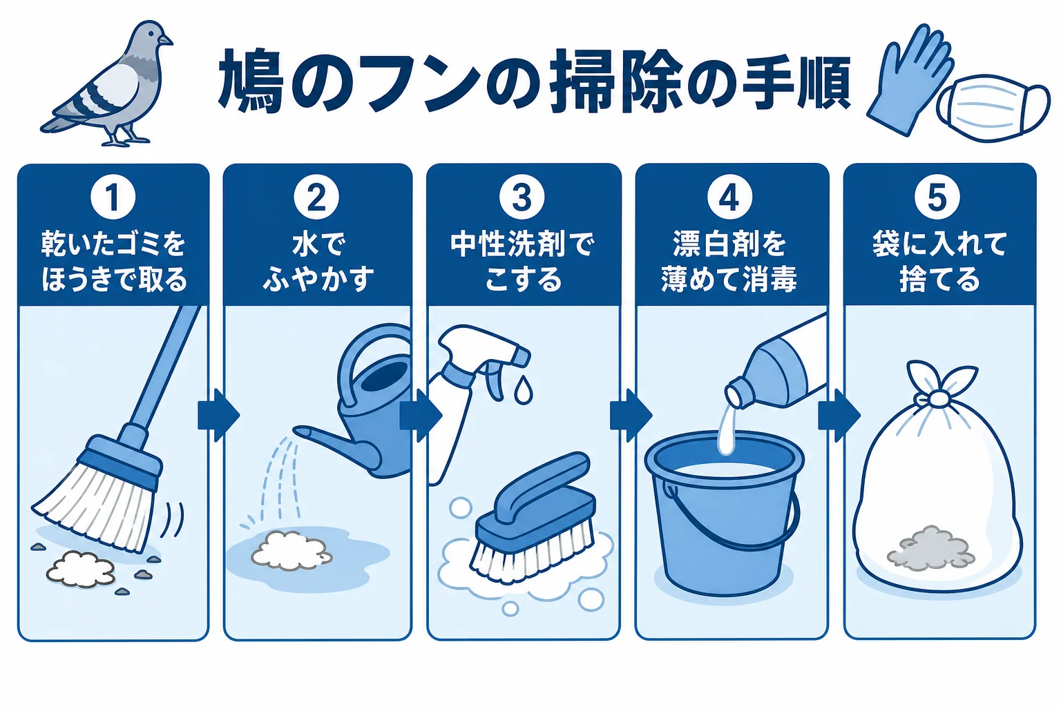 鳩のフンを、ほうきで取る・ふやかす・洗剤でこする・消毒する・袋に入れて捨てる、の順に掃除する流れを示した図解