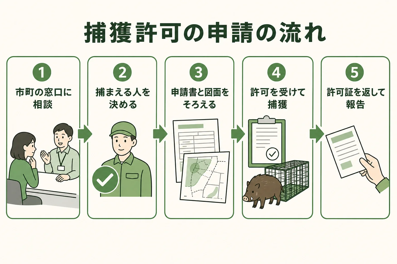 捕獲許可の申請から捕獲・報告までの流れを示した図解