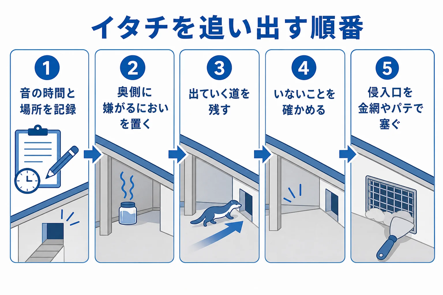 イタチを追い出してから侵入口を塞ぐまでの手順と予防のポイントを示した図解
