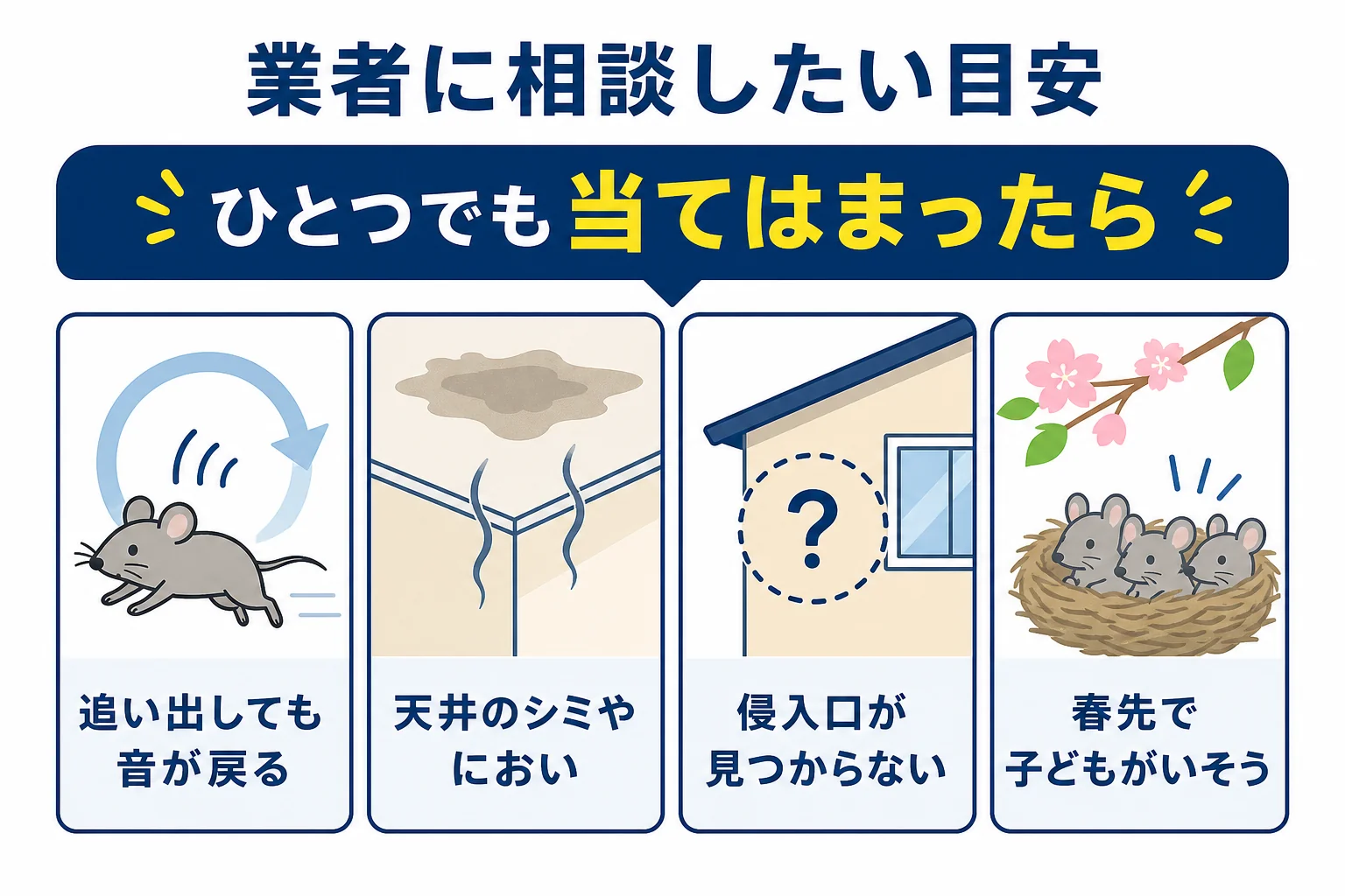 イタチ駆除で業者に相談したい目安と見積もりで確かめたいことをまとめた図解