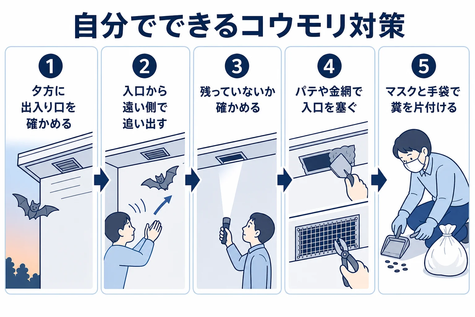 コウモリの出入り口を確かめてから追い出し、残っていないか確認して入口を塞ぎ、糞を片付ける流れを示した図解