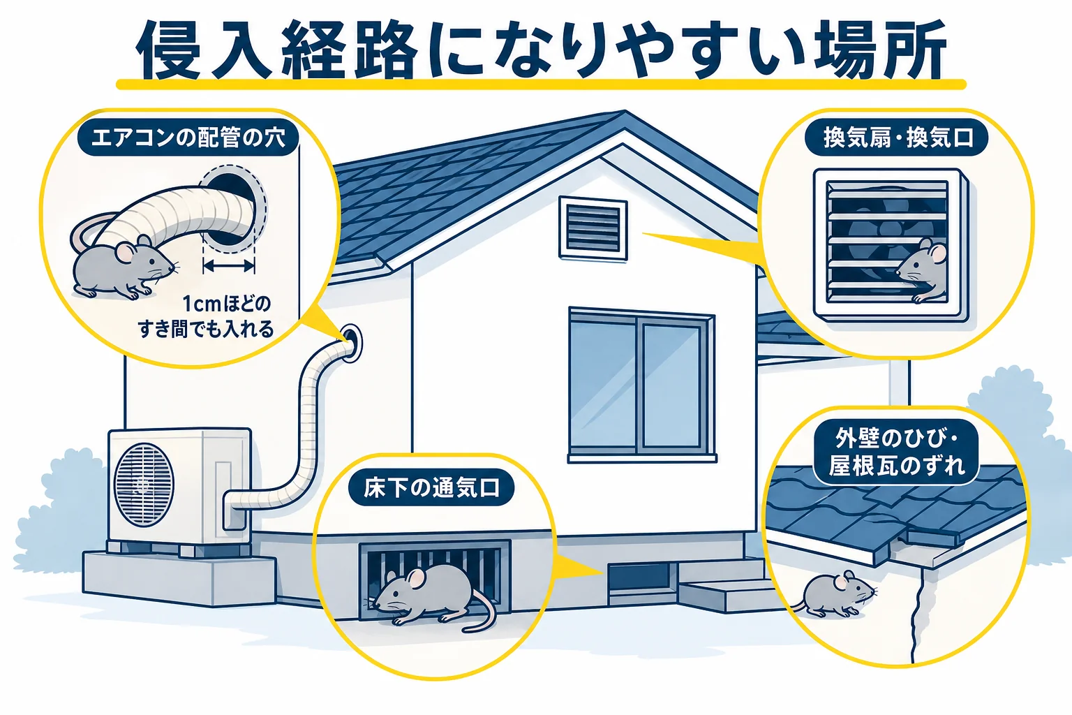 ネズミの侵入経路になりやすい配管の穴・換気口・床下通気口・外壁のひびなどを示した家の図解